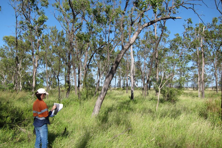 Property Map of Assessable Vegetation (PMAV)